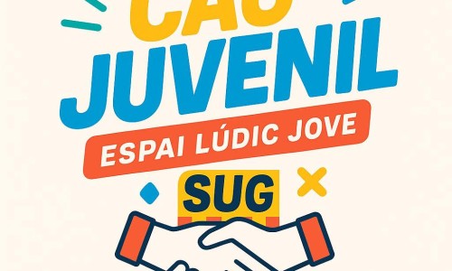 Espai Lúdic Jove