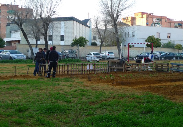 Un huerto social y ecológico en el barrio de la Fuensanta's header image