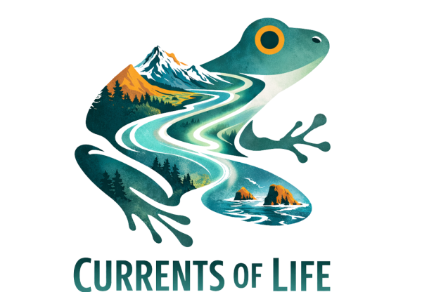 Currents Of Life's header image