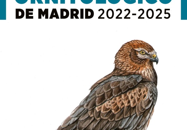Anuario Ornitológico de Madrid: 30 años de ciencia abierta's header image