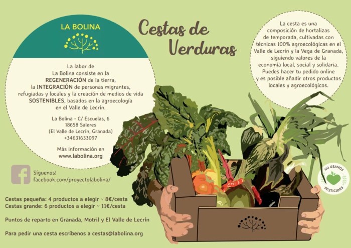 cartel-verduras.jpeg