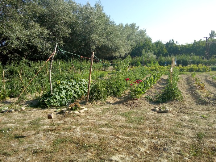 El huerto ecologico