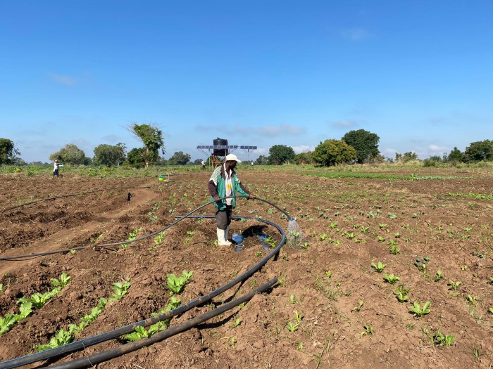 agricultor-sistema-de-riego-azada-verde.jpeg