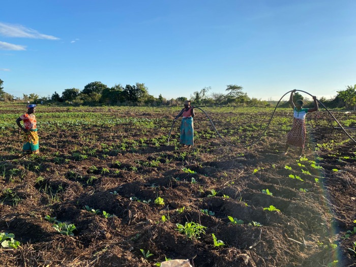 agricultoras-azada-verde.jpeg