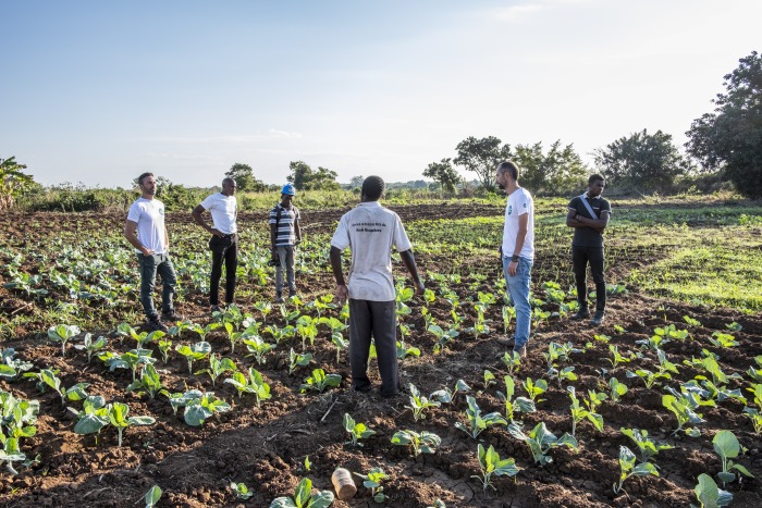 agricultores-hortalizas-azada-verde.jpg