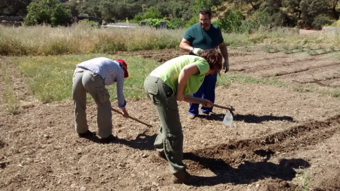 articulo-huelva-informacion---lola-pelallo.jpg