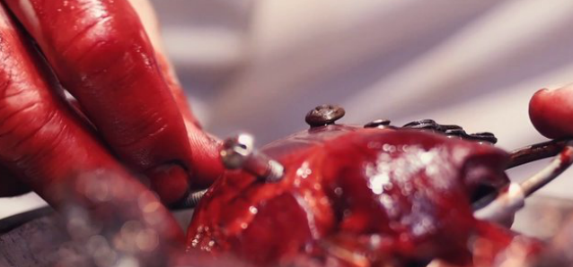 La primera entrega de TROPOS - 0×01 Exploradores del Corazón