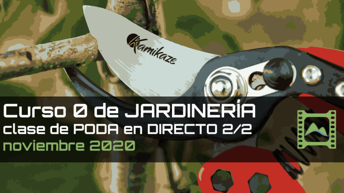 Sólo faltan 7 DÍAS para LOGRAR el objetivo ¡y está MUY CERCA! ¿ME AYUDAS?