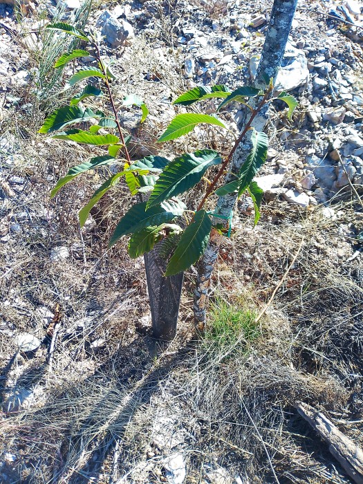 O noso segundo aniversario