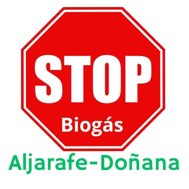 🔴 EL ALJARAFE DICE 