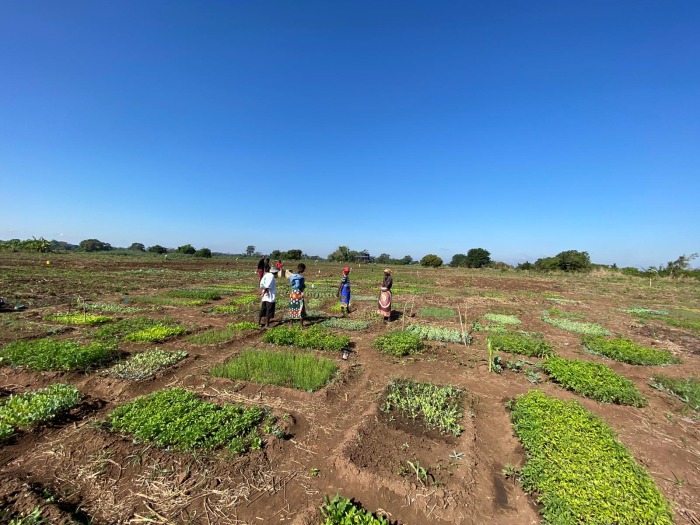 parcelas-agricultores-azada-verde-1.jpeg